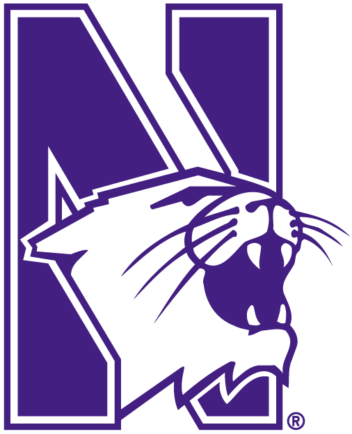 Northwestern Wildcats 1981-Pres Alternate Logo DIY iron on transfer (heat transfer)